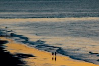 Beach Walk Canvas Print