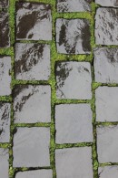 Squares with Grass Canvas Print