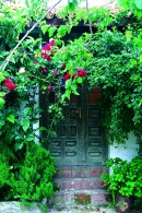 Roses Above the Door