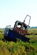 Tied to the Marsh Canvas Prints