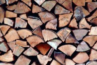 Cut Logs