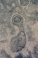 Footprint