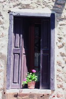 Geranium Pot