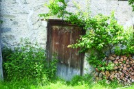 Logs and Door