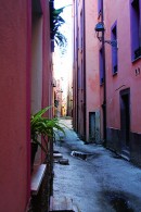 Pink Houses