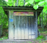 Woodland Shed