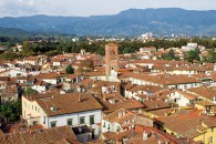 Lucca-Roofs