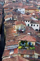 Roof-Tops